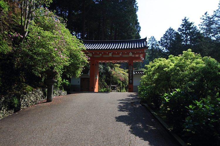 三室戸寺_e0051888_4314116.jpg