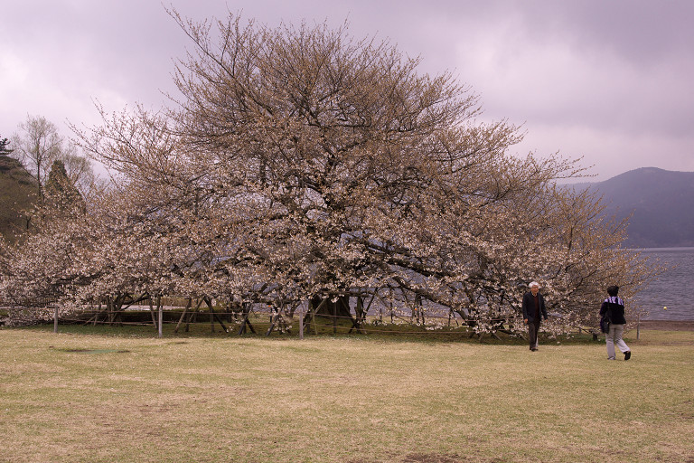 2011.04.27  箱根長安寺_f0190989_10433232.jpg