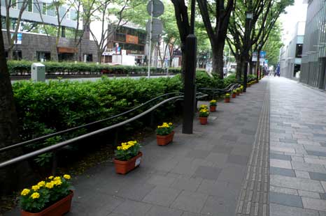 e0157891_1125995.jpg