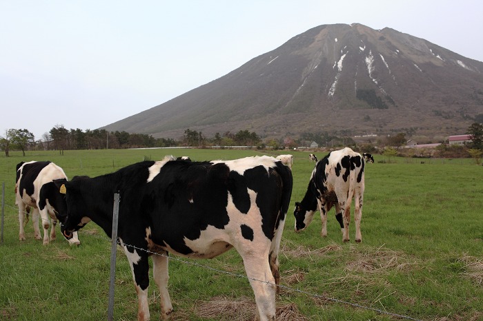 黄砂の中の大山_f0174293_7443524.jpg