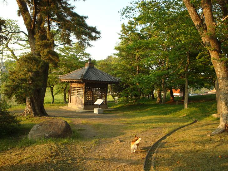 f0075595_0315750.jpg