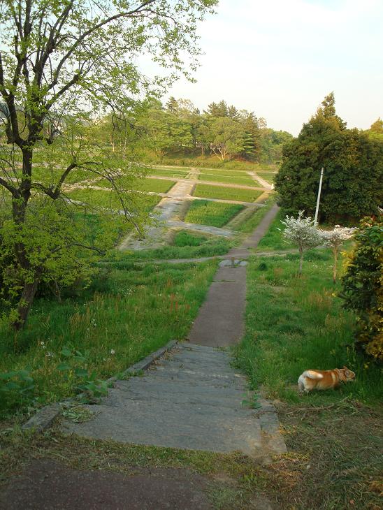 f0075595_0331163.jpg