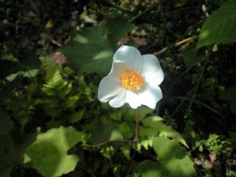 b0059000_1202628.jpg