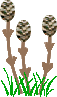 c0074000_22454311.gif