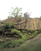 c0164401_13805.jpg