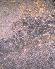c0164401_1401818.jpg