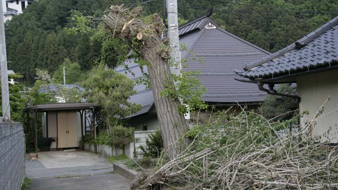 a0087804_20114667.jpg