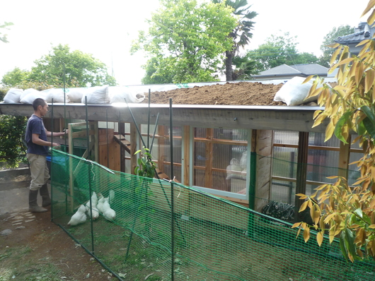 こっこちゃんお引越し_a0080406_1154644.jpg