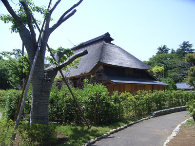 蕗のとう通信46 2011年5月19日(木)_b0129807_1748891.jpg