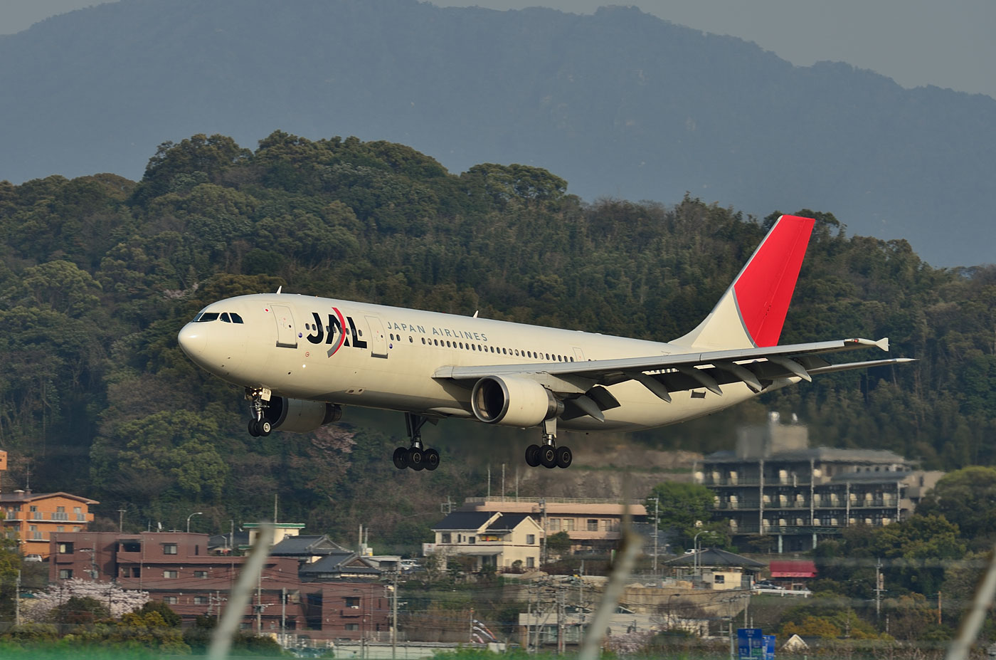 AIRBUS A300-600R / JA016D : SKY LOUNGE GARDEN -transporter side- AIRBUS A300-600R / JA016D : SKY LOUNGE GARDEN -transporter side-