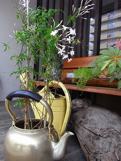 c0201910_141414.jpg