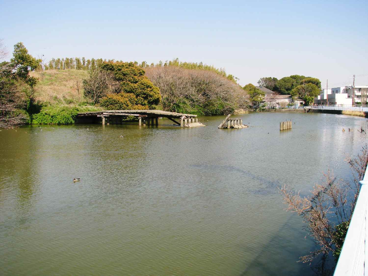 e0080110_2313442.jpg