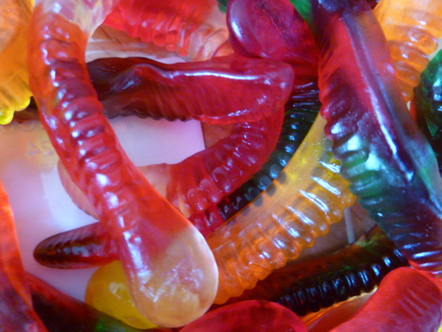 ミミズ の名のつくお菓子 Danthree In California