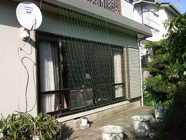 e0146513_1645449.jpg