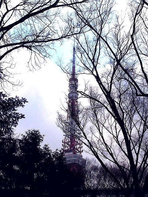遠い国からコンニチワ。_c0116714_1234844.jpg