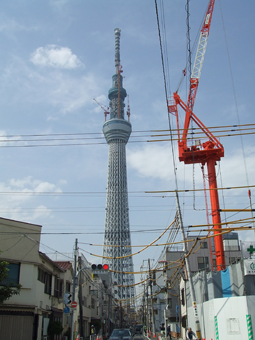 c0135618_16442882.jpg