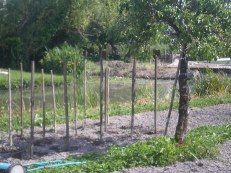 c0124619_0124049.jpg