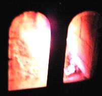 d0035823_1319230.jpg
