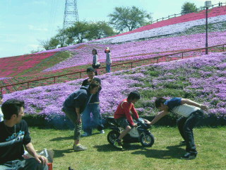 c0074025_1235544.jpg