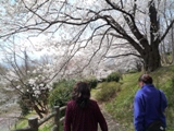 花見_c0112333_18414358.jpg