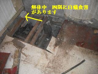 震災被害による床工事_f0031037_201134.jpg