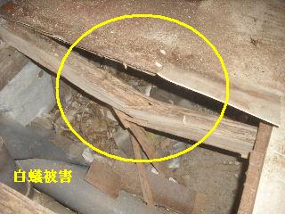 震災被害による床工事_f0031037_201581.jpg