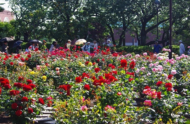 d0218238_2285842.jpg