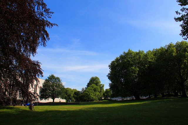 c0153740_20426.jpg