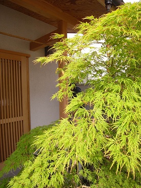 a0116442_1856044.jpg