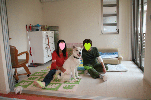 d0204043_23513233.gif