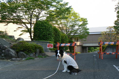 一日に飲む水の量って・・・_b0177649_2240484.jpg