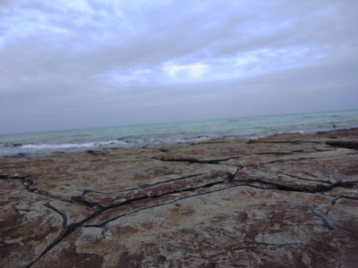 c0200353_035310.jpg