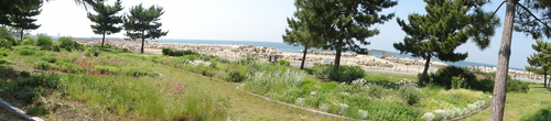 c0108460_20571628.jpg