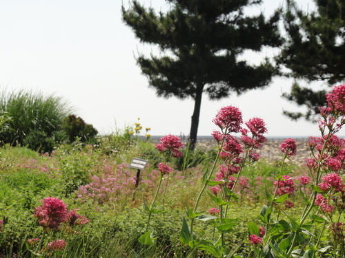 c0108460_2103611.jpg