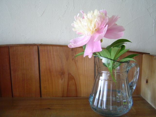 c0172261_73048.jpg