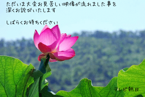 e0209962_1325369.gif