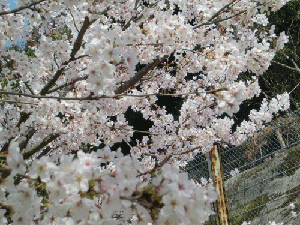 d0137664_1922133.gif