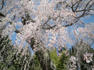 d0137664_19244390.gif