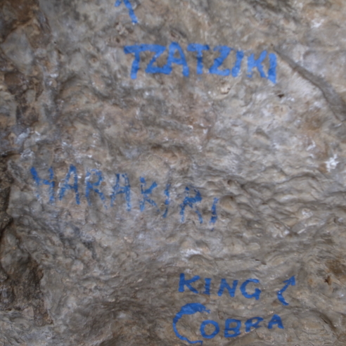 e0167264_047315.jpg