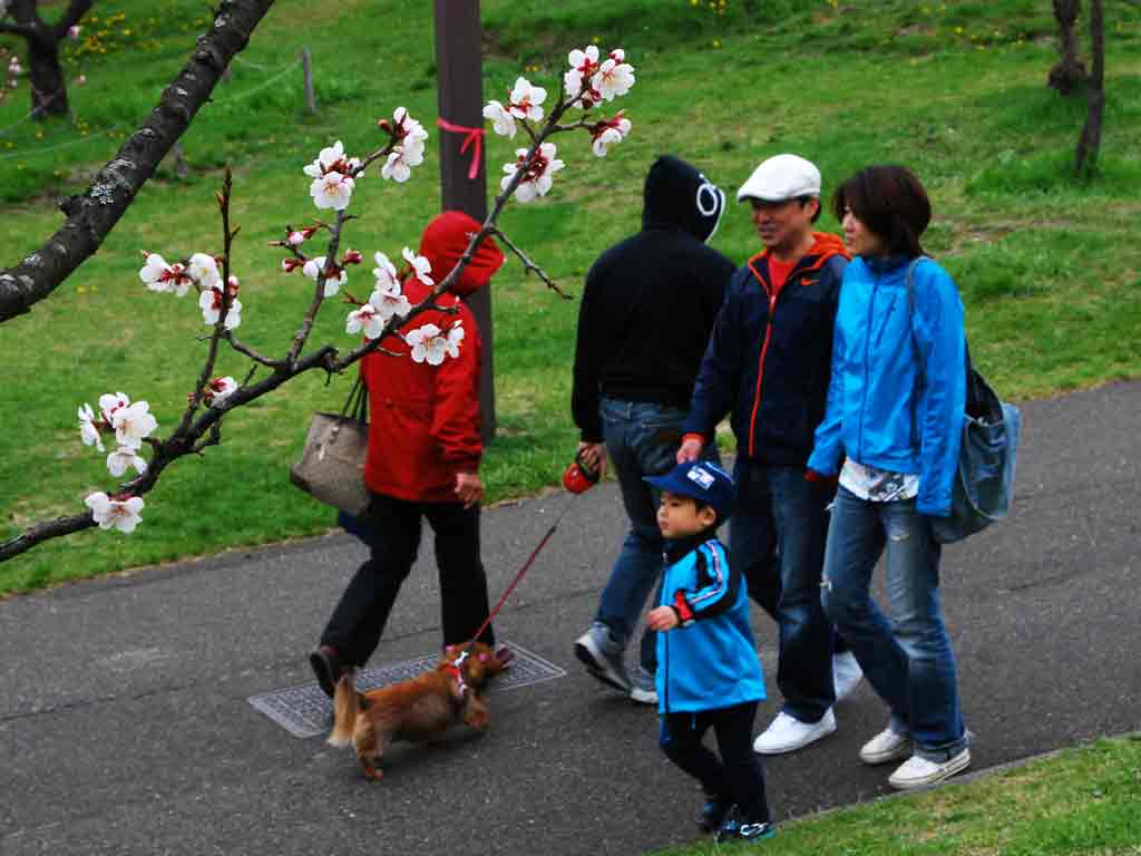 平岡公園の梅園_e0104567_52637.jpg