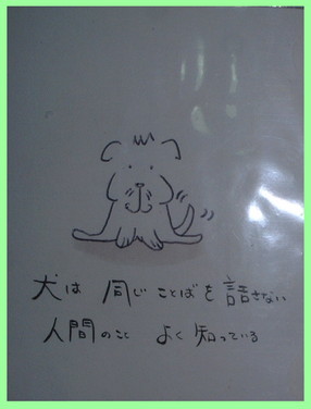 これで3度目くらいの登場になっちゃうんですが。_e0066474_281077.jpg