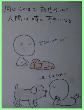 これで3度目くらいの登場になっちゃうんですが。_e0066474_28747.jpg