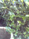 f0047884_22593635.jpg