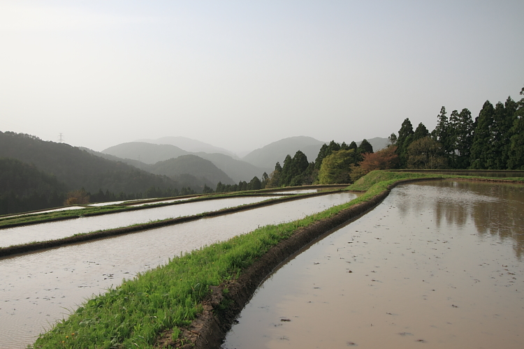 樒原の鎧田_e0051888_21473244.jpg