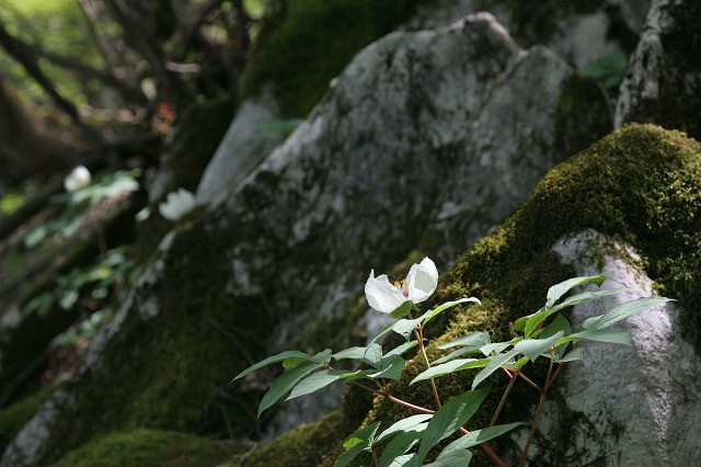 f0000789_16445114.jpg
