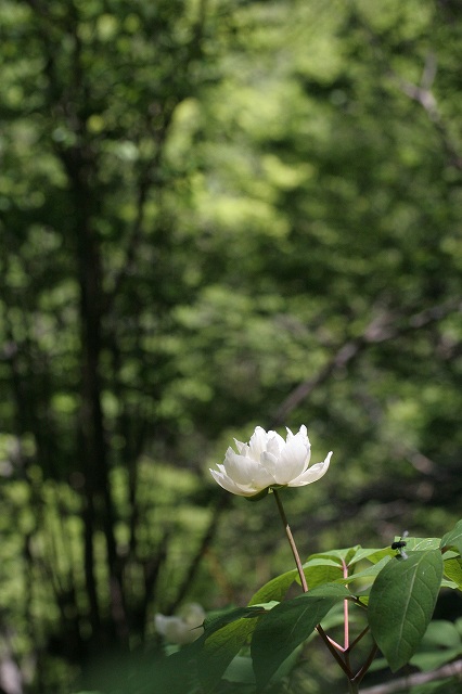 f0000789_16461341.jpg