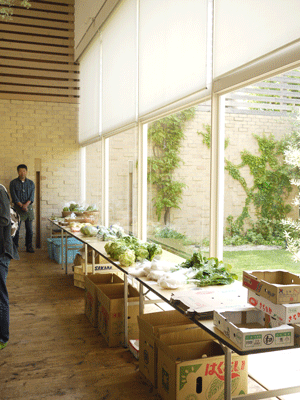 a0150193_205560.gif