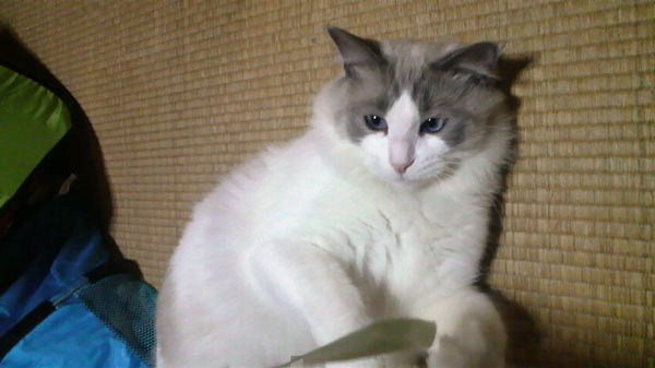 c0117597_06536.jpg