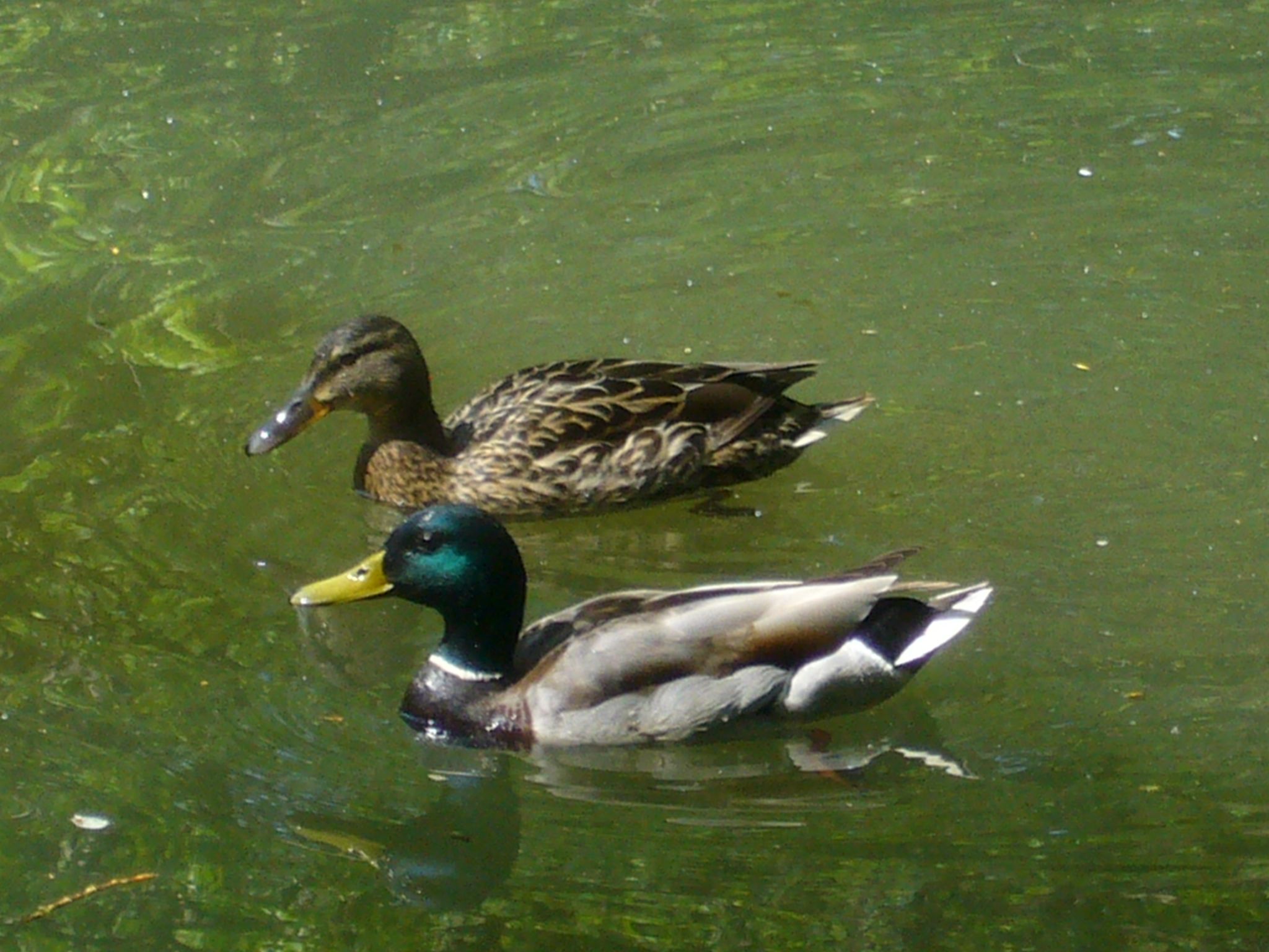 オリバ公園とオリバ大聖堂_f0169397_22514154.jpg