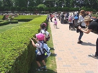 2011年5月19日（木） ； 晴れ_d0051601_0135250.jpg